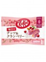 Kit Kat Ruby Chocolate Nuts and Cranberry