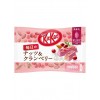 Kit Kat Ruby Chocolate