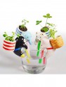 Animales Plantas Chuppon