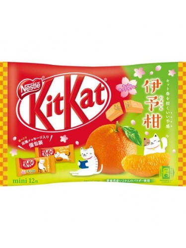 Kit Kat Mikan